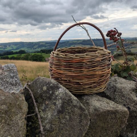 Basket by Alison Whitmore - Zantium Studios Course