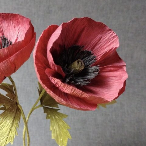 Paper Wildflower Weekend Course with Ling Warlow at Zantium Studios, Derbyshire