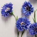 Paper Wildflower Weekend Course with Ling Warlow at Zantium Studios, Derbyshire