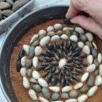 Zantium Studios - Pebble Mosaic Course in the Peak District